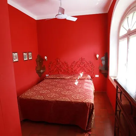 Acacia Firenze