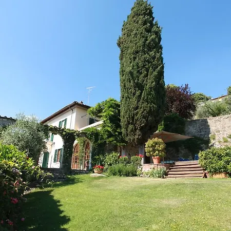 Acacia Firenze