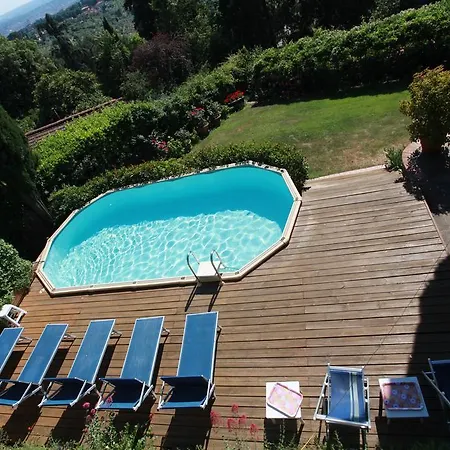 Acacia * Firenze