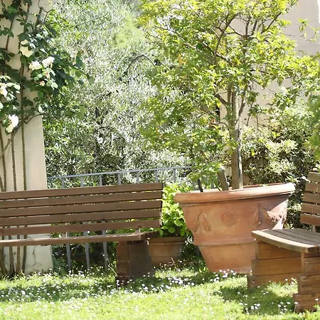 Acacia Φλωρεντία