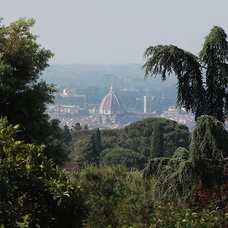 Acacia Firenze