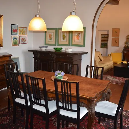Acacia Firenze