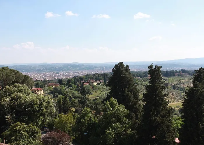 Acacia فيلة فلورنس